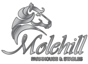 Mole Hill Logo