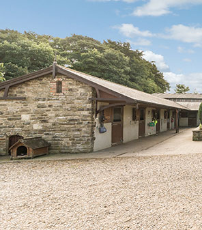 Molehill Stables