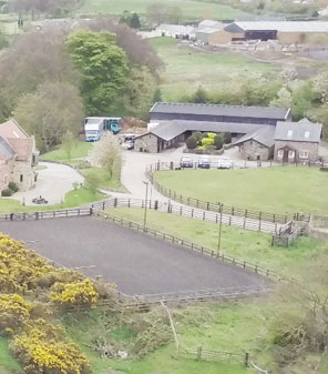 Molehill Stables