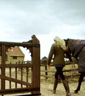 Molehill Stables